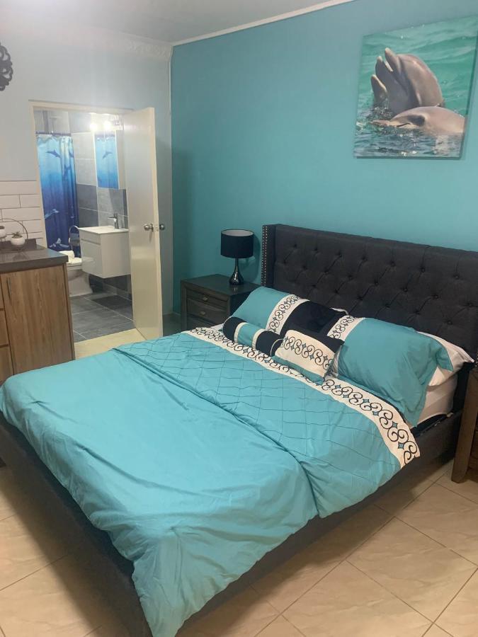 Omira Apartment Suites Willemstad Dış mekan fotoğraf
